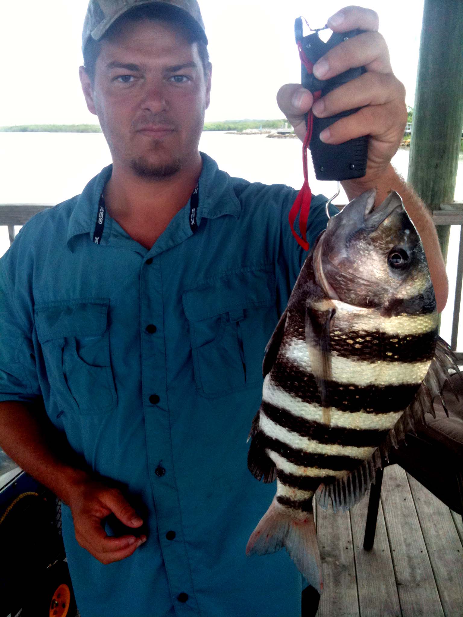 Circle Hook Sheepshead  Fishing from Florida Shores