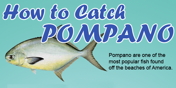 How to Catch Pompano Fish Like a Pro