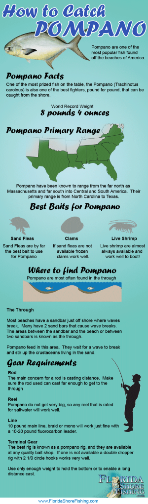 How to Catch Pompano Infographic | Fishing from Florida Shores